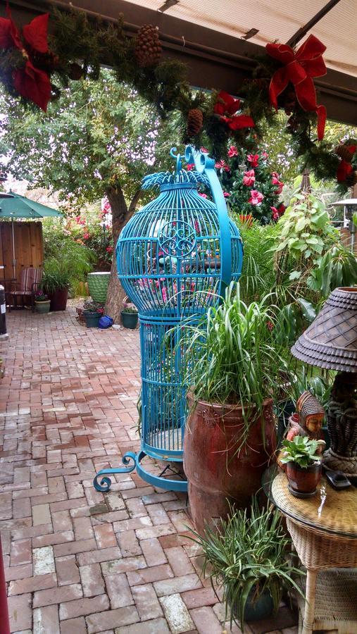 Don'S Elegante Bed & Breakfast Phoenix Exterior photo