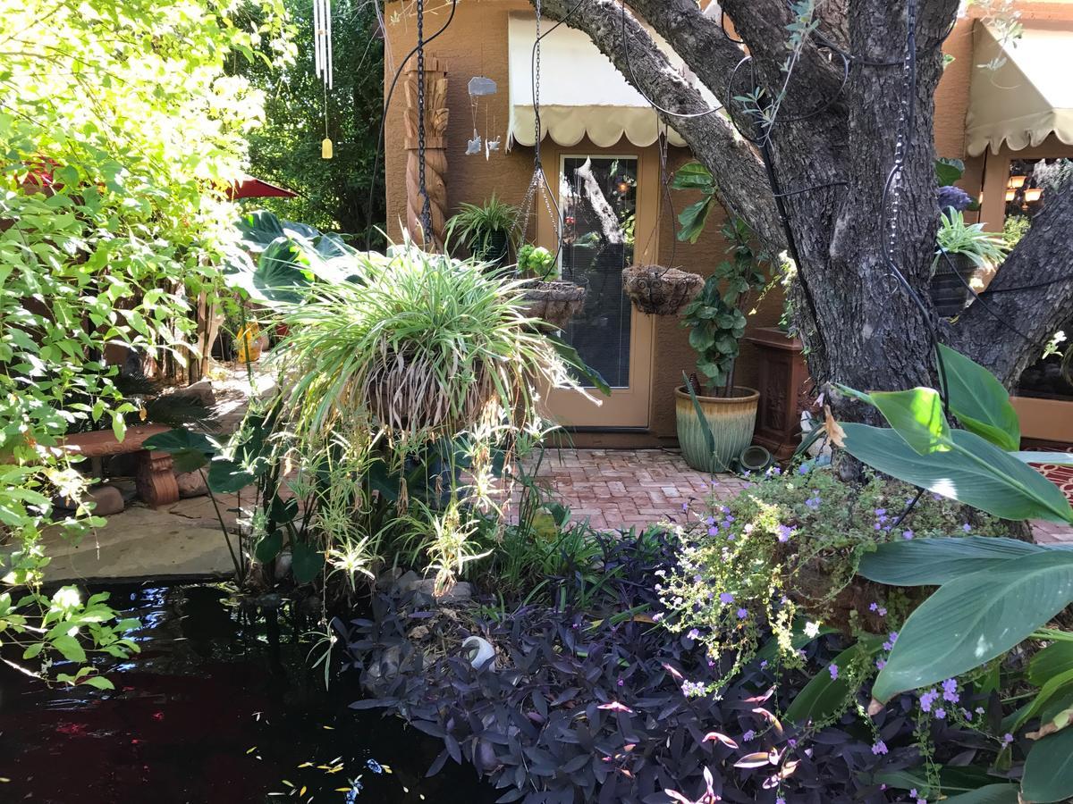 Don'S Elegante Bed & Breakfast Phoenix Exterior photo